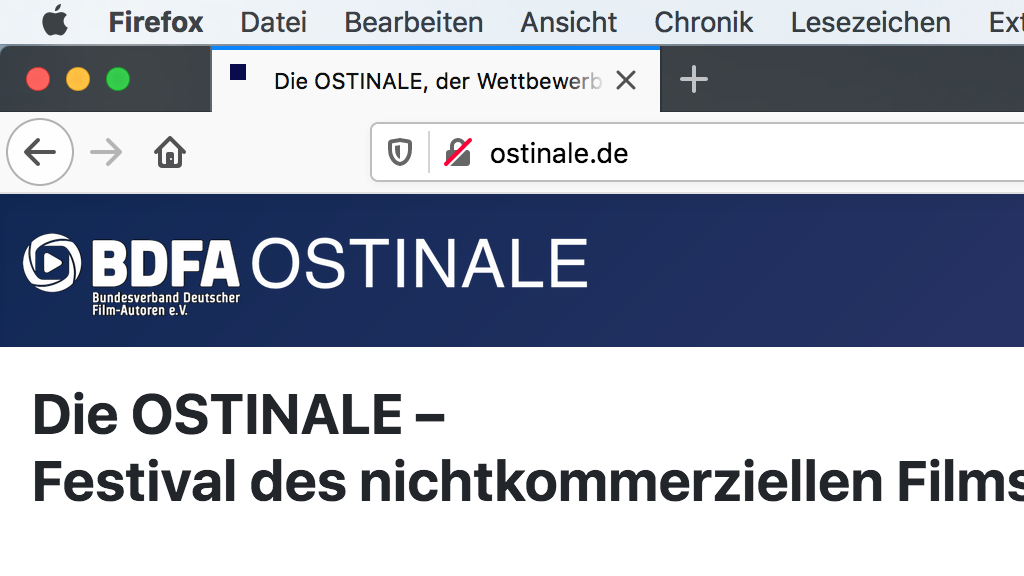 OSTINALE-Startseite (Quelle: VFS) OSTINALE-Startseite (Quelle: VFS)