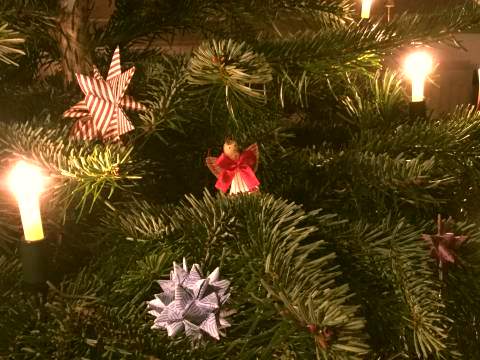 Weihnachtsbaum (Quelle: VFS/F.Bräuniger)