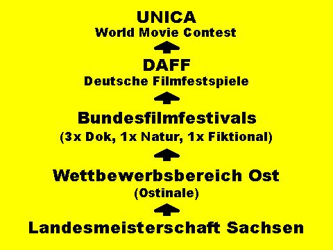 Die Wettbewerbsebenen des BDFA (Quelle VFS / F. Bräuniger) Die Wettbewerbsebenen des BDFA (Quelle VFS / F. Bräuniger)